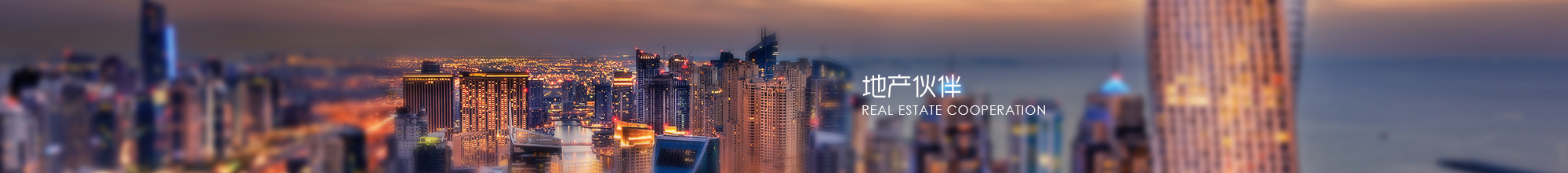 地产伙伴