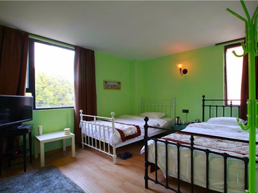 405（一米二双床房）