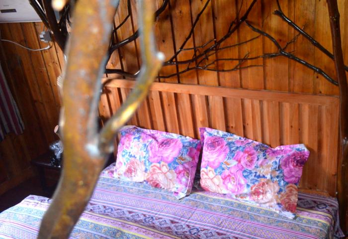 莫奈的树（临江）