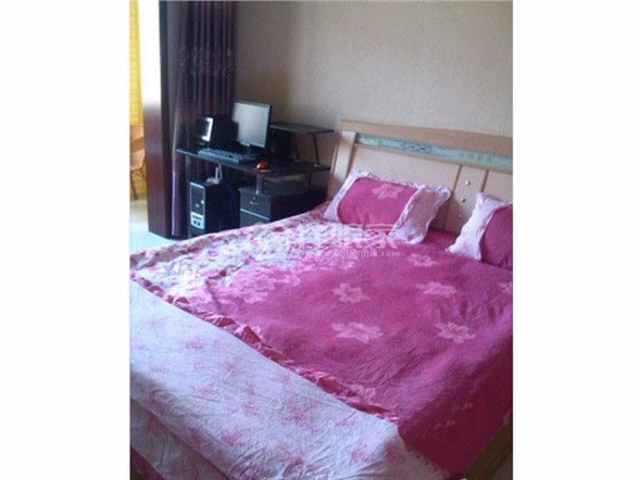 豪华公寓 安全舒适(电梯)100元