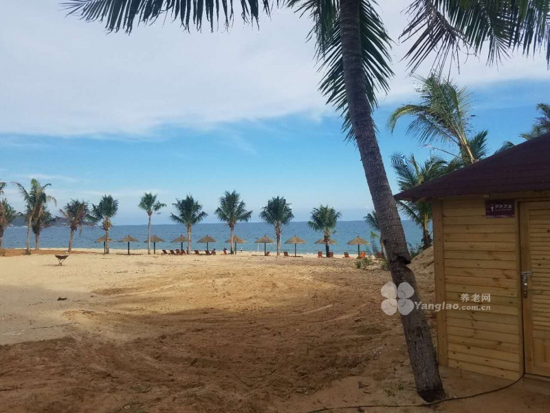 
              三亚清水湾别墅基地                            