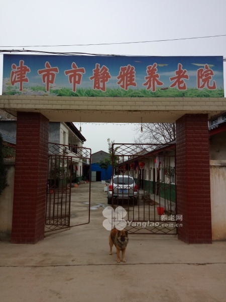 
              津市市静雅养老院                            