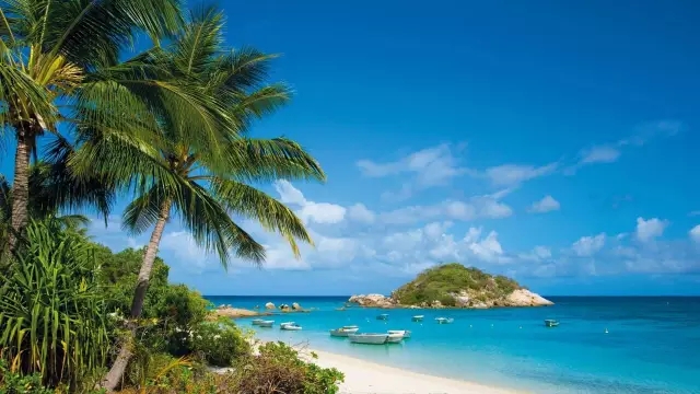 640.webp (12).jpg 640.webp (12).jpg