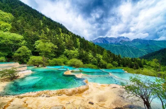 640.webp (24).jpg 640.webp (24).jpg