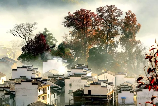 640.webp (35).jpg 640.webp (35).jpg