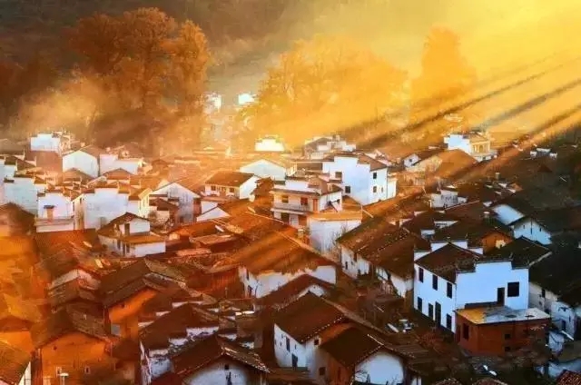 640.webp (37).jpg 640.webp (37).jpg