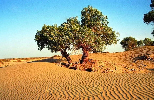 psb (7).jpg psb (7).jpg