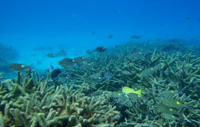 psb (12).jpg psb (12).jpg