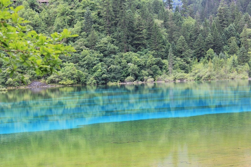 psb (19).jpg psb (19).jpg