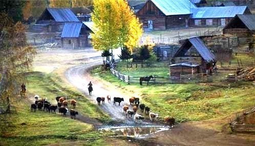 psb (21).jpg psb (21).jpg