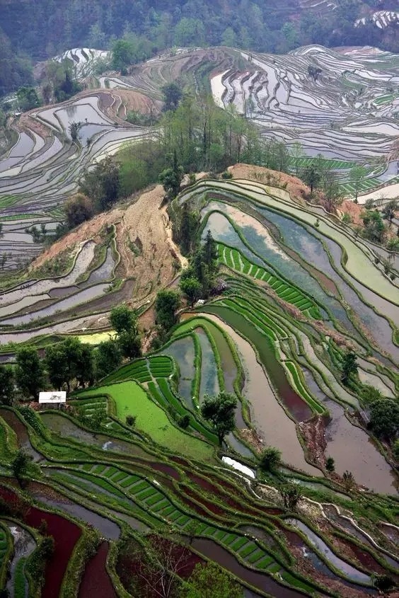 640.webp (23).jpg 640.webp (23).jpg