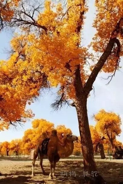 640.webp (24).jpg 640.webp (24).jpg