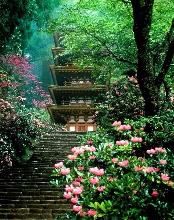 640.webp (27).jpg 640.webp (27).jpg