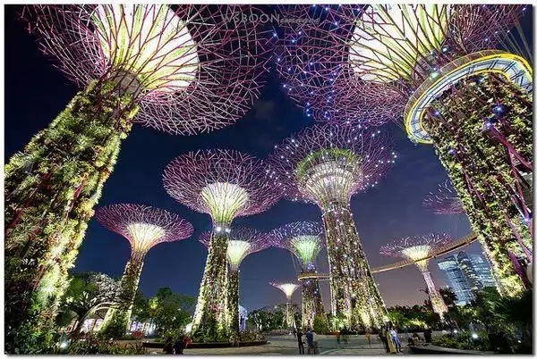 10.webp.jpg 10.webp.jpg