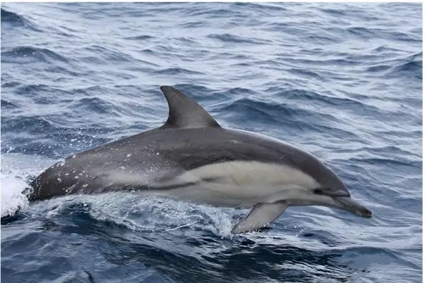 640.webp (3).jpg 640.webp (3).jpg