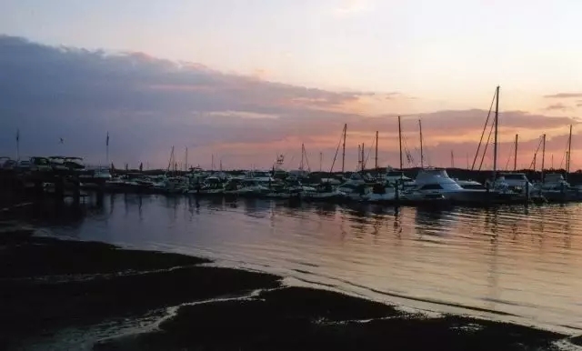 640.webp (4).jpg 640.webp (4).jpg