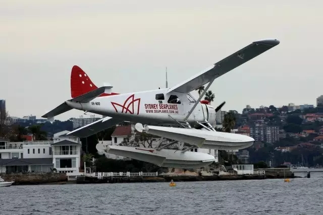 640.webp (7).jpg 640.webp (7).jpg