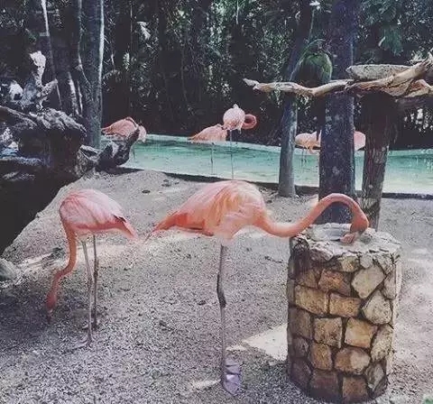 640.webp (1).jpg 640.webp (1).jpg