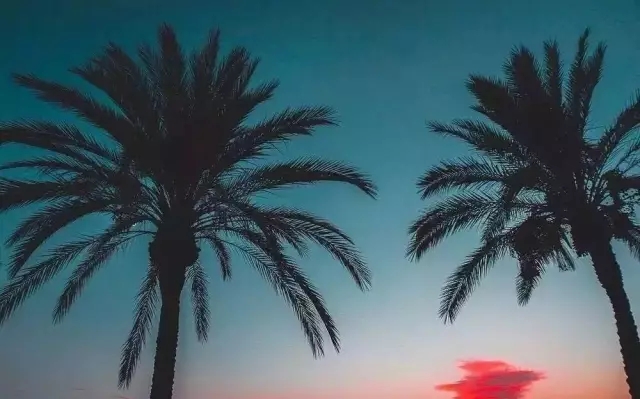 640.webp (18).jpg 640.webp (18).jpg